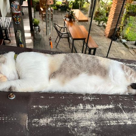 ครูหนูบ้านพัก แหลมงอบ Krunou Baanpak Трат Экстерьер фото