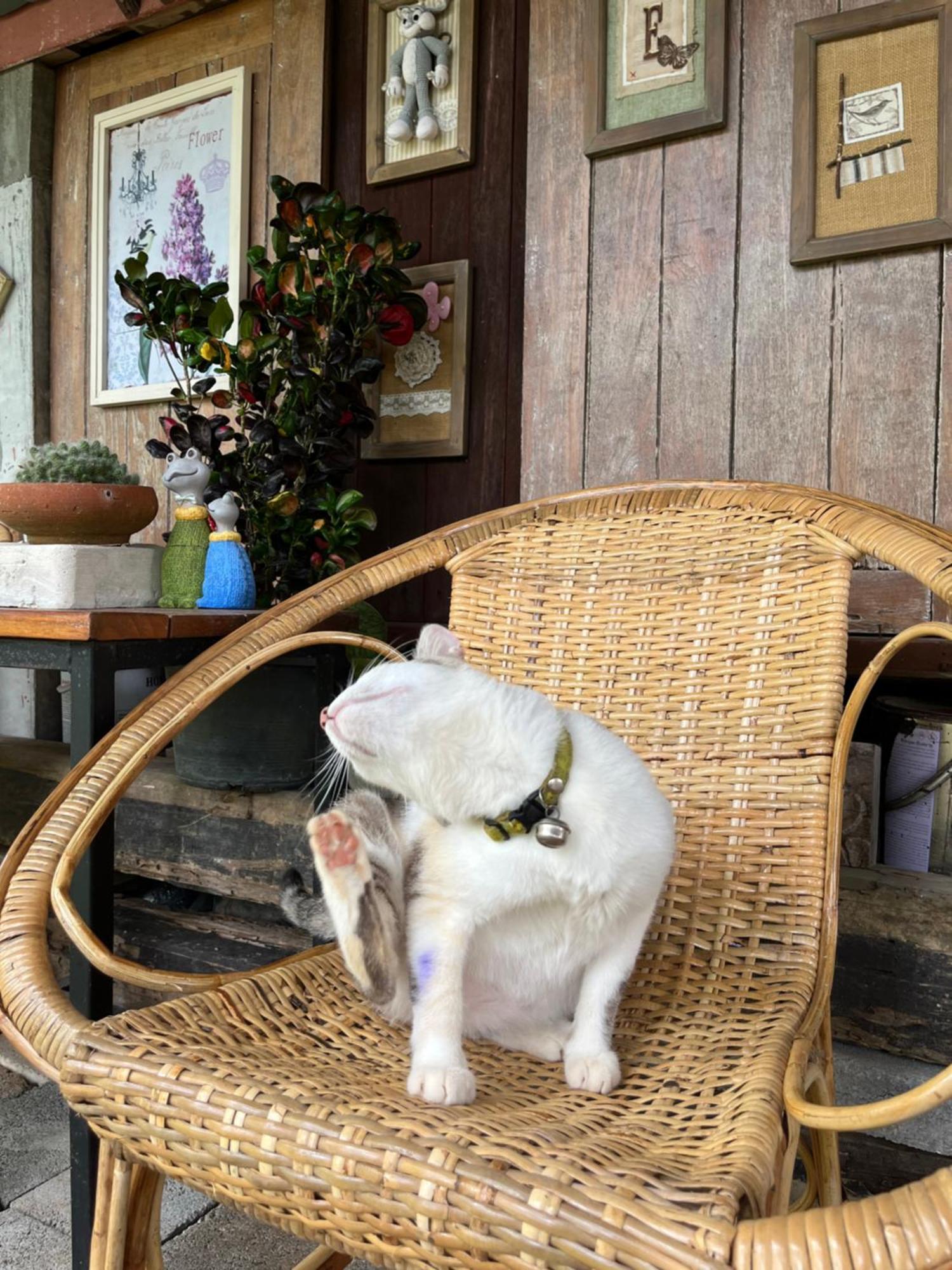 ครูหนูบ้านพัก แหลมงอบ Krunou Baanpak Трат Экстерьер фото