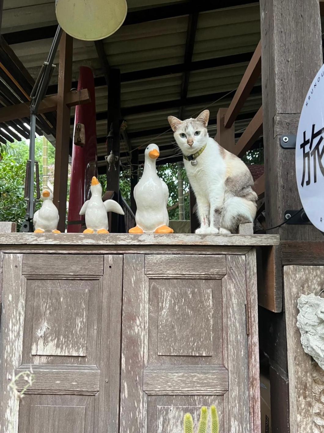 ครูหนูบ้านพัก แหลมงอบ Krunou Baanpak Трат Экстерьер фото