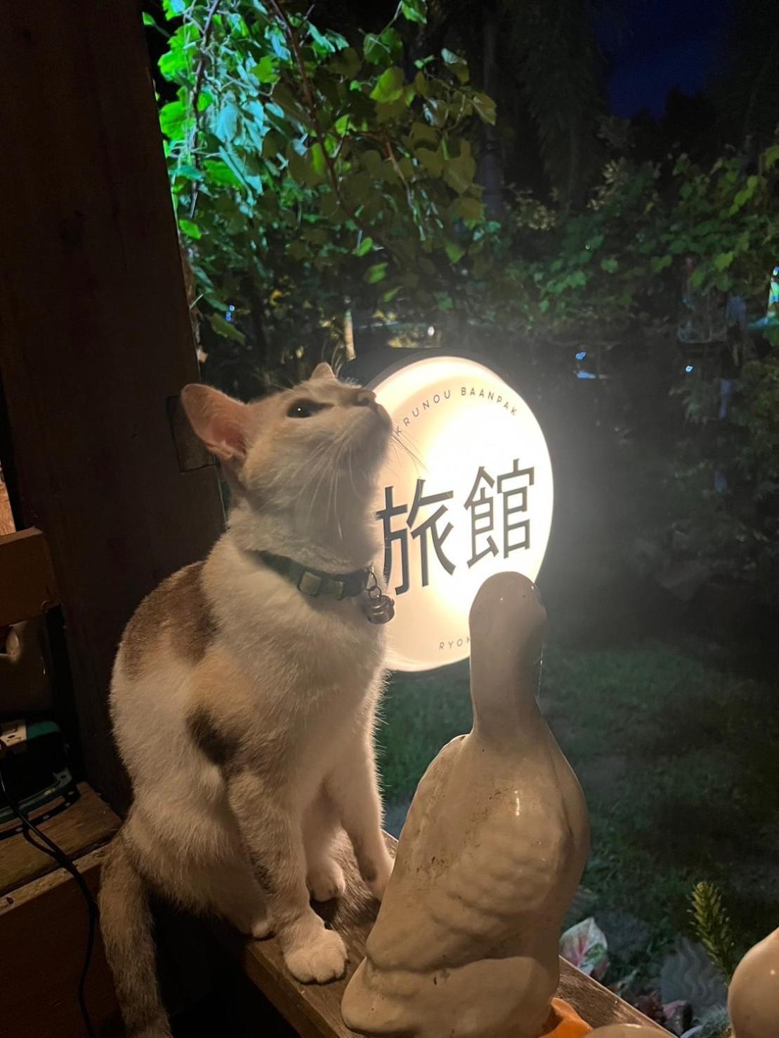 ครูหนูบ้านพัก แหลมงอบ Krunou Baanpak Трат Экстерьер фото