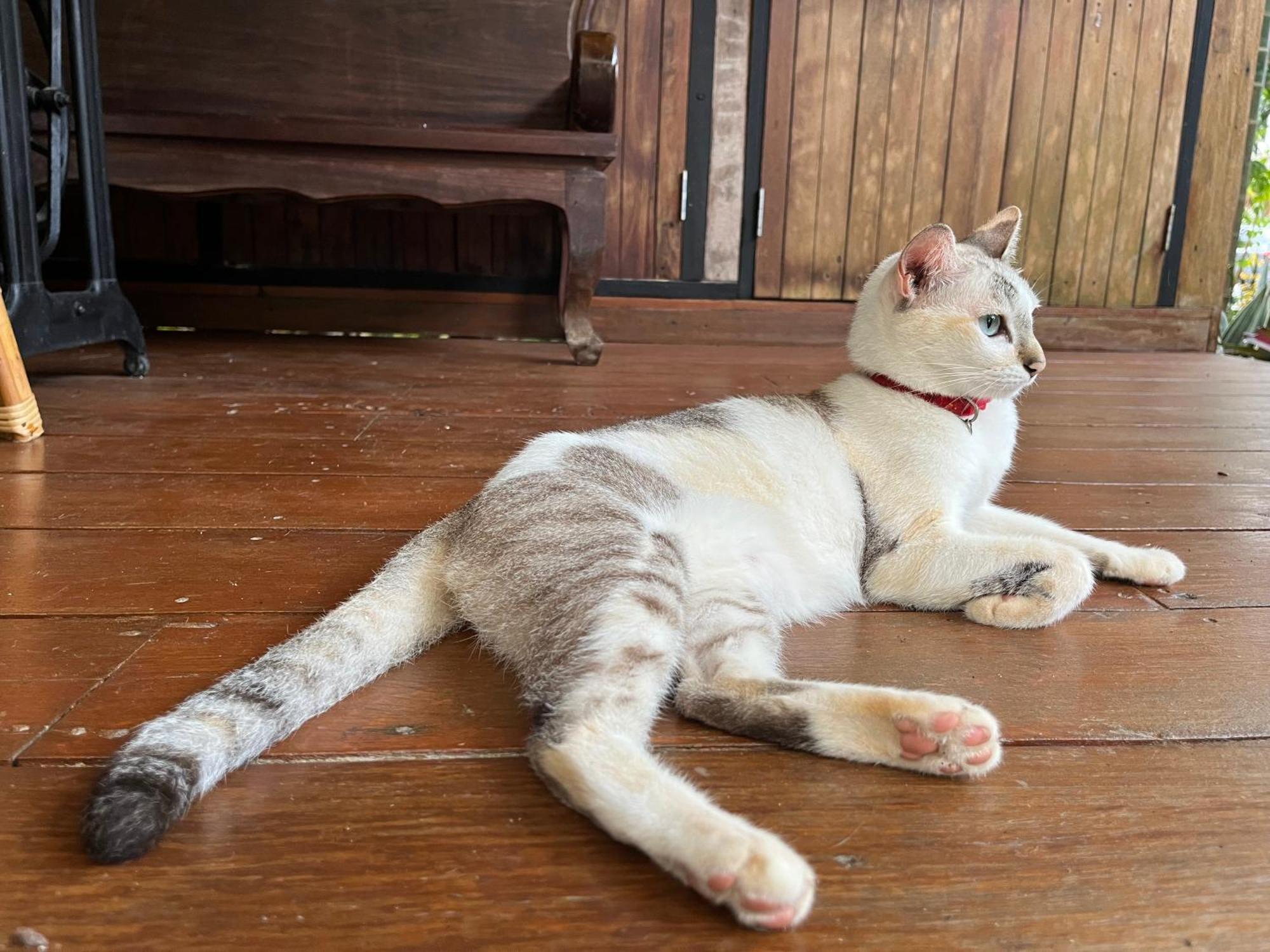 ครูหนูบ้านพัก แหลมงอบ Krunou Baanpak Трат Экстерьер фото